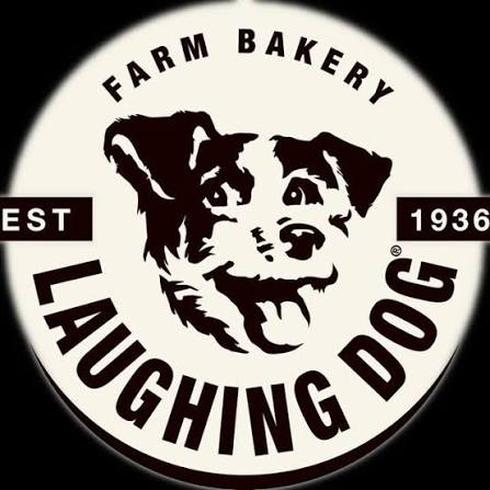Laughing Dog