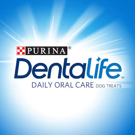 Dentalife